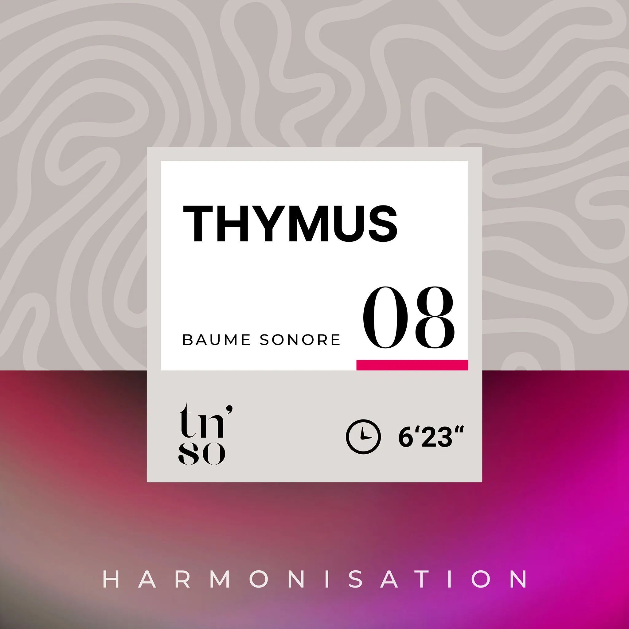 BS-08-thymus-vignette-FR.jpg
