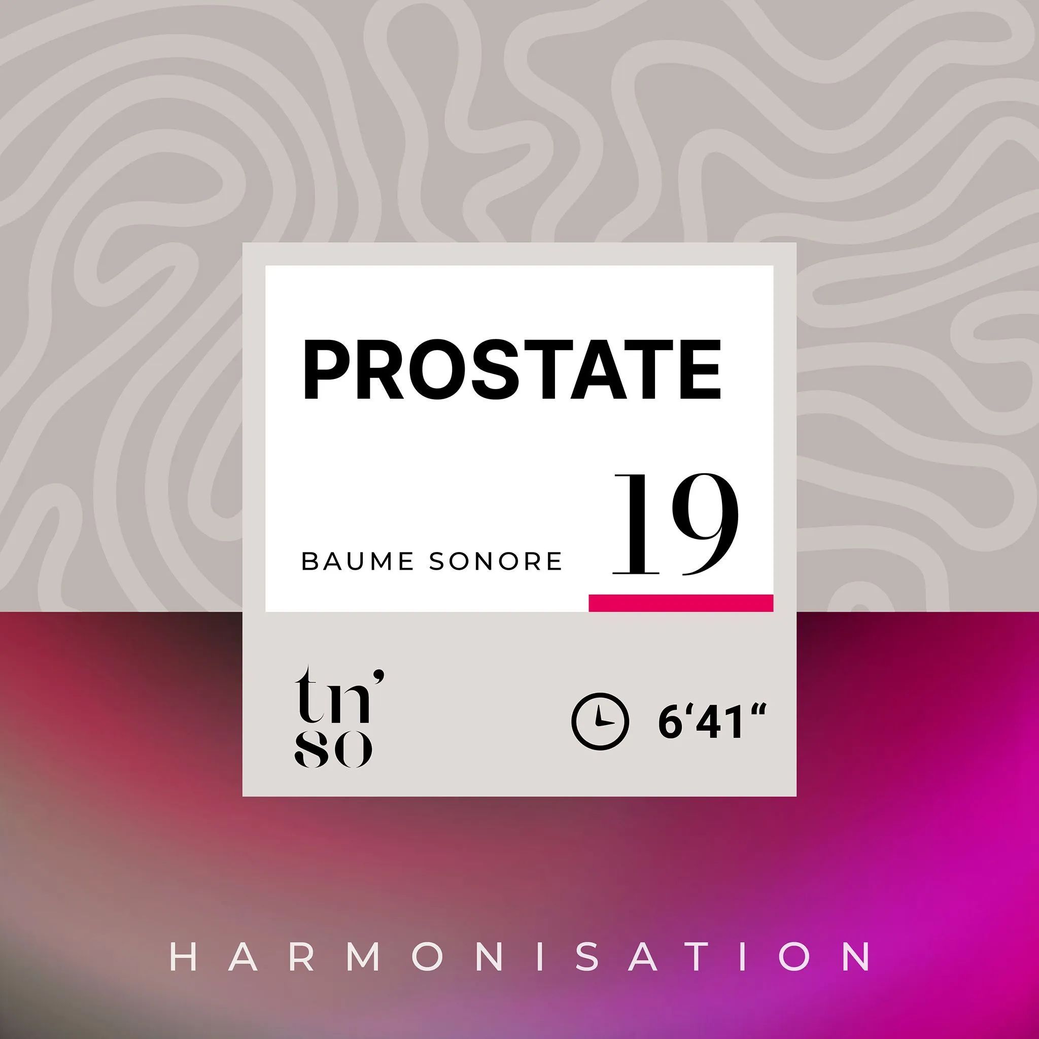 BS-19-prostate-vignette-FR.jpg